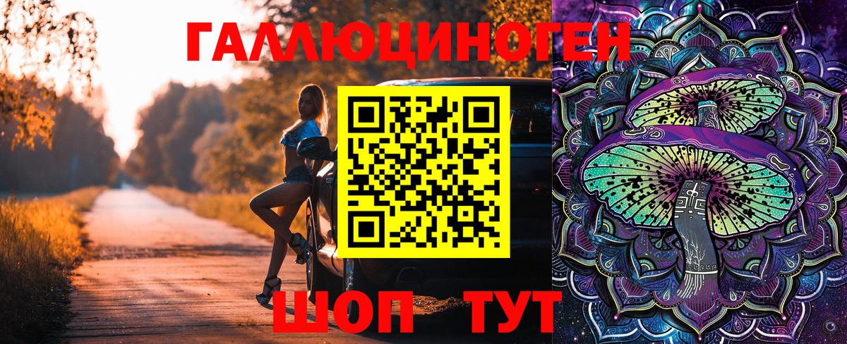 Галлюциногенные грибы Magic Shrooms Калининград