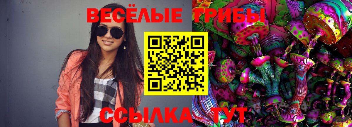 Псилоцибиновые грибы Cubensis  Псилоцибиновые грибы Psilocybe  Вход с VPN  Калининград 