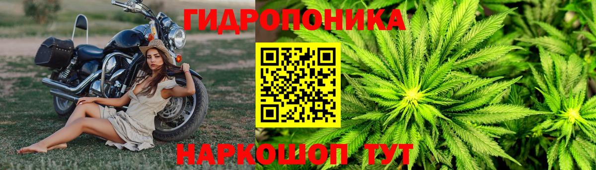 Бошки Шишки Ganja Калининград